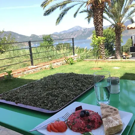 Gala