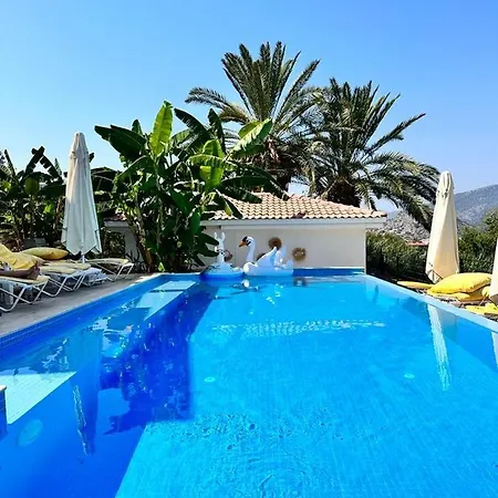 Guest house Gala Selimiye