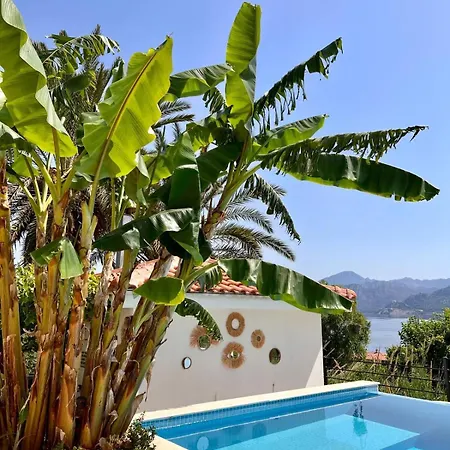 ゲストハウス Gala