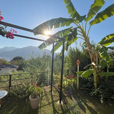 Gala ゲストハウス 4*