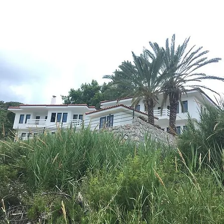 Gala ゲストハウス 4*