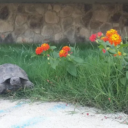 ゲストハウス Gala